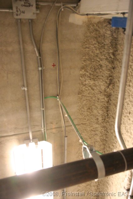 Original image